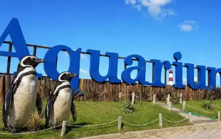 El final del Aquarium de Mar del Plata