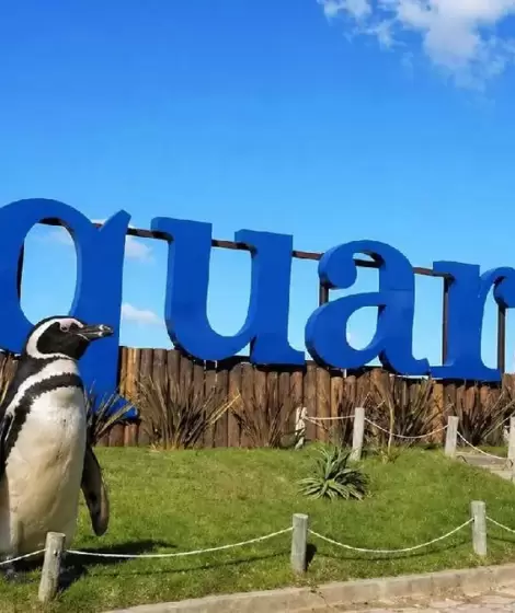El final del Aquarium de Mar del Plata