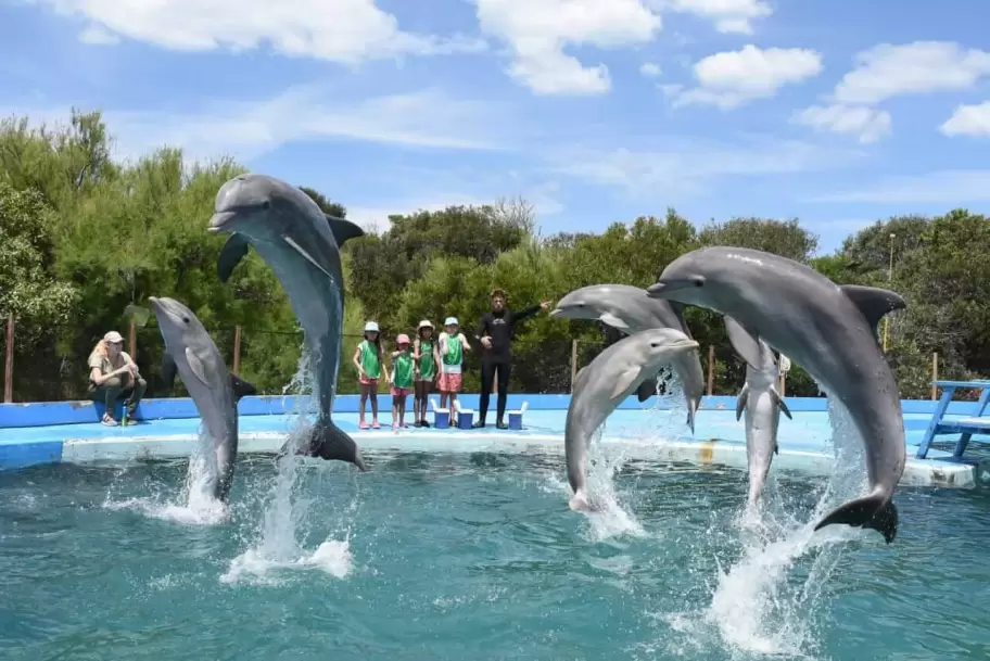 El final del Aquarium de Mar del Plata