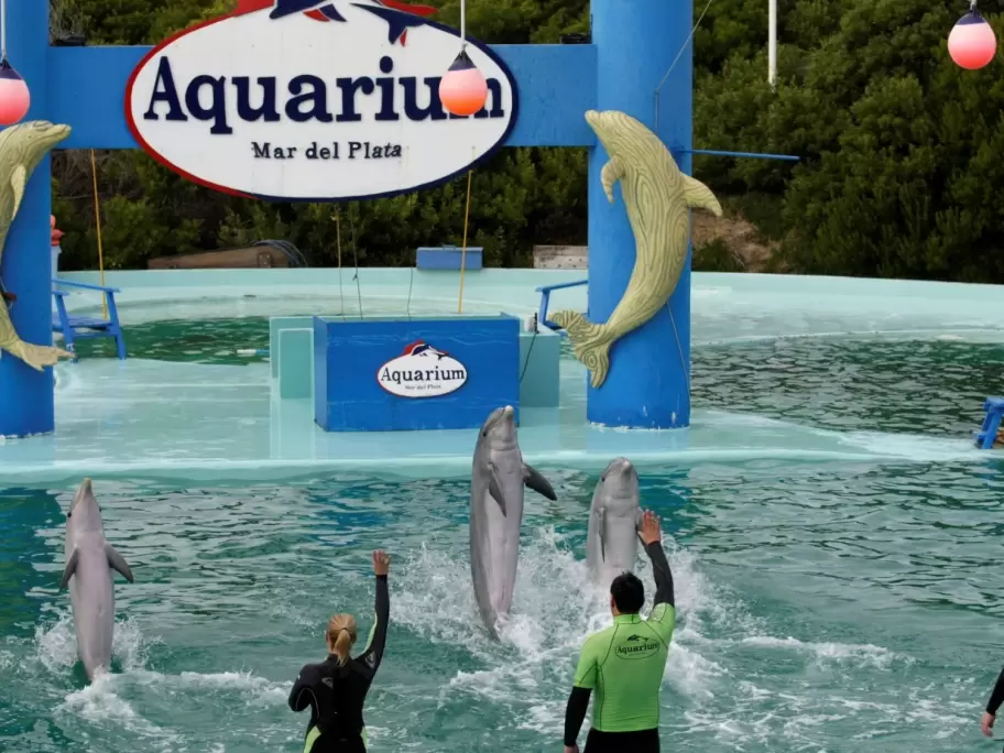 El final del Aquarium de Mar del Plata