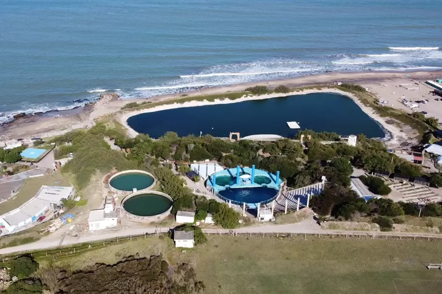 El final del Aquarium de Mar del Plata