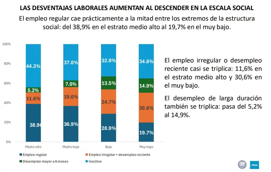 Las estad�sticas del informe sobre la juventud que elabor� el Observatorio de la Deuda Social Argentina de la Universidad Cat�lica Argentina.