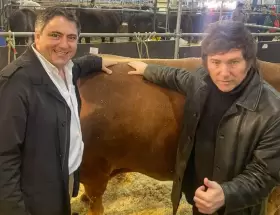 Paoltroni y Milei