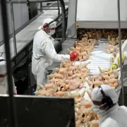 Se profundiza la crisis en Granja Tres Arroyos: ahora también paralizó su planta de Capitán Sarmiento