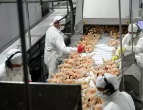 Granja Tres Arroyos pas� de ser la compa��a av�cola m�s grande de la Argentina a la que m�s despidi� en agosto.