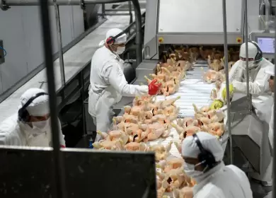 Granja Tres Arroyos pas� de ser la compa��a av�cola m�s grande de la Argentina a la que m�s despidi� en agosto.