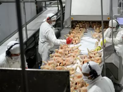 Granja Tres Arroyos es la compa��a av�cola m�s grande de la Argentina.