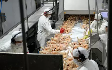 Granja Tres Arroyos es la compa��a av�cola m�s grande de la Argentina.