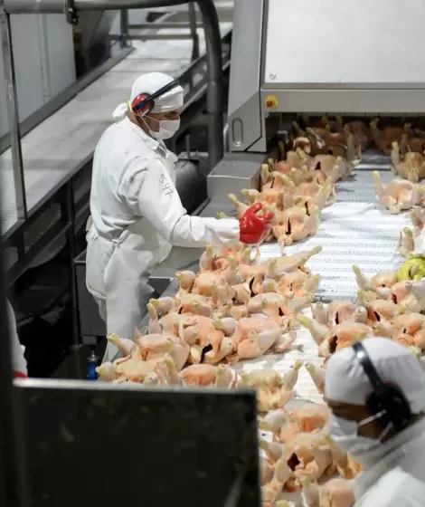 Granja Tres Arroyos es la compa��a av�cola m�s grande de la Argentina.