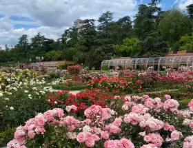 Rosedal, en CABA