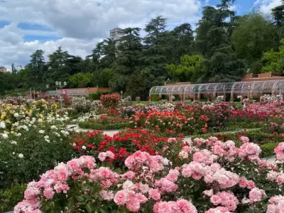 Rosedal, en CABA