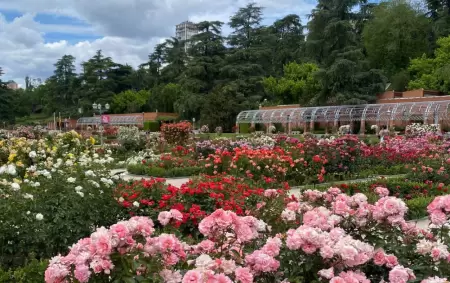 Rosedal, en CABA