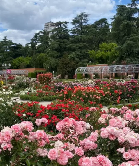 Rosedal, en CABA