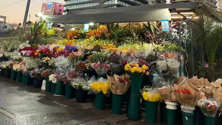 Lleg� el 21 de septiembre y las flores vuelven a copar las calles