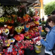 Llegó la primavera: cuánto cuesta regalar flores amarillas y el negocio detrás de una tradición que explotó en redes