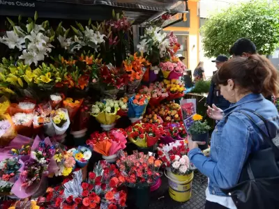 Primavera