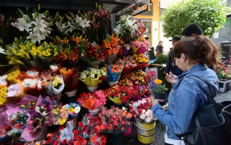 Primavera