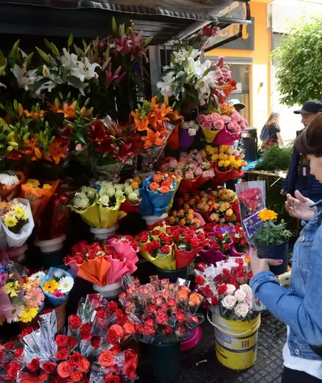 Primavera