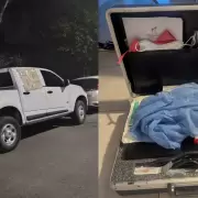 Viajaron a C�rdoba para atender a un oso con c�ncer y les robaron los equipos veterinarios que cuestan m�s de US$10.000