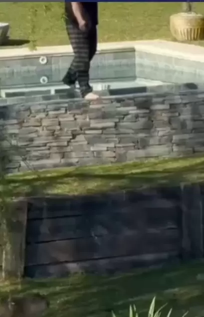 Un hombre disparó a quemarropa a carpinchos en Nordelta
