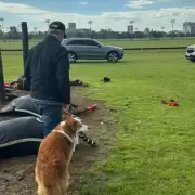 Tragedia en el Jockey Club de San Isidro: un rayo mató a cuatro caballos y lanzó a un cuidador tres metros por el aire