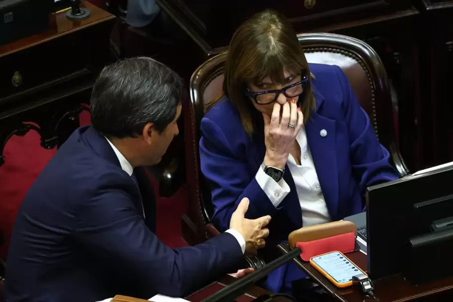 Bullrich el día del tratamiento de la Ley de Salud Mental