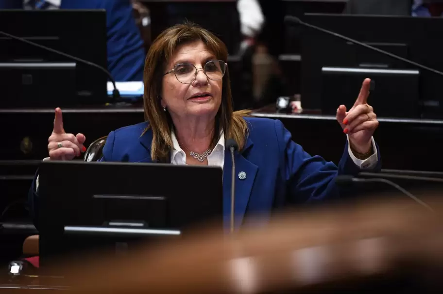Patricia Bullrich durante el tratamiento de la reforma de la Ley de Salud Mental