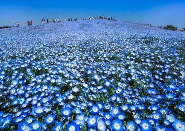 National Geographic