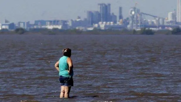 La pastera Botnia, vista desde Gualeguaych