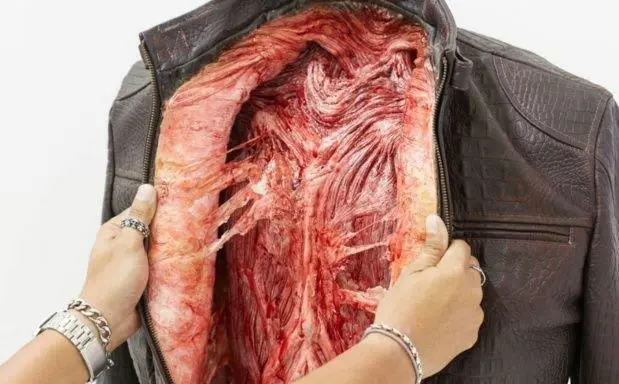 Campera