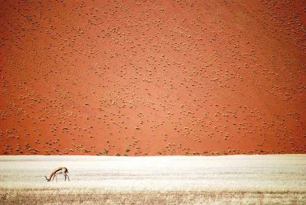 National Geographic
