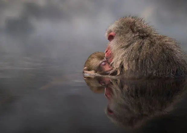 National geographic