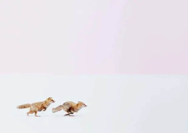 National Geographic