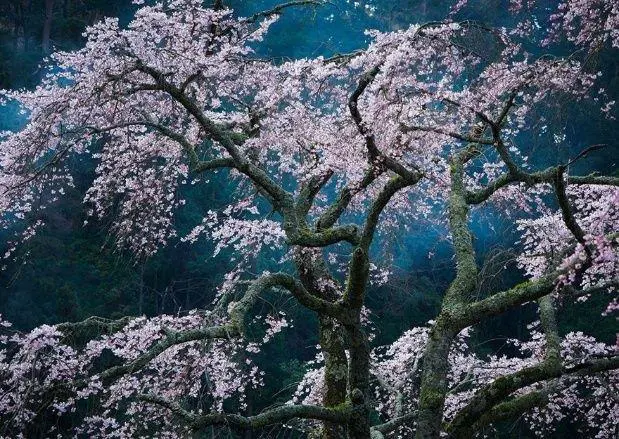 National Geographic
