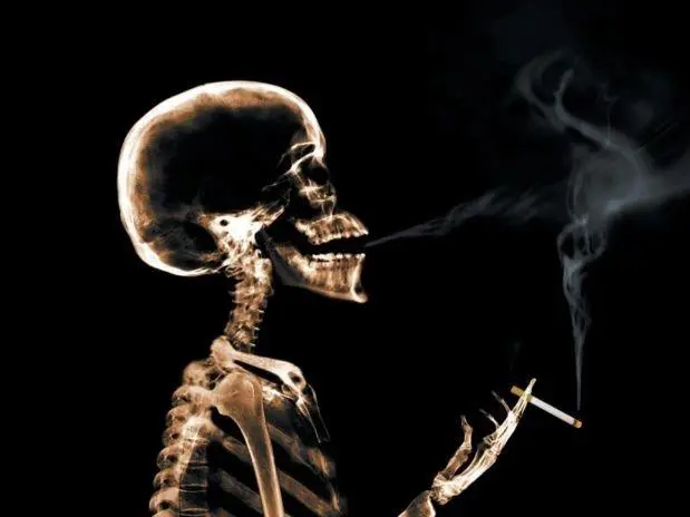 Es menos dañino el tabaco de liar? Cinco mitos desmontados por los  científicos