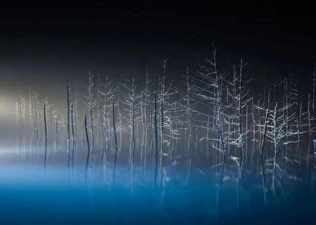 National geographic