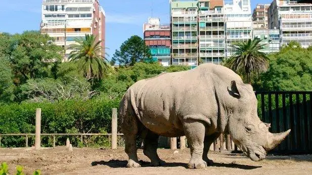 zoo_buenos_aires