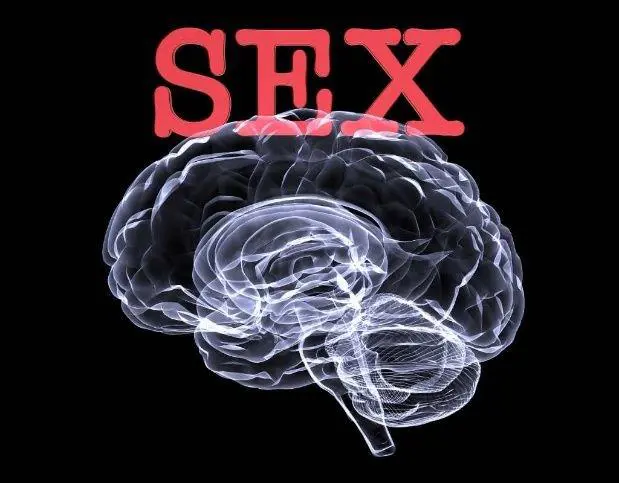 sexo