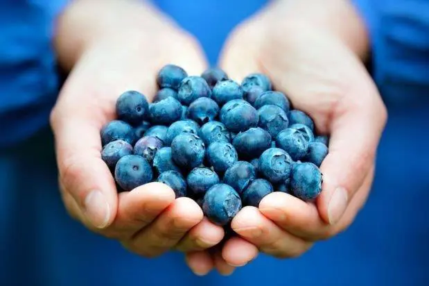 La fruta mgica y azul.