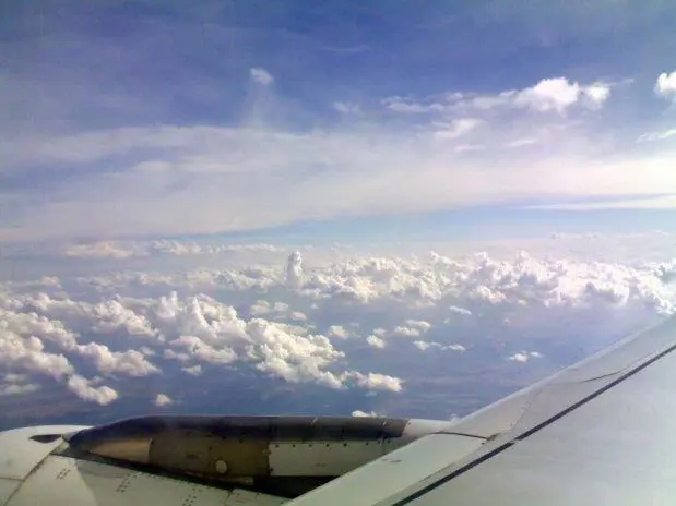 Ala