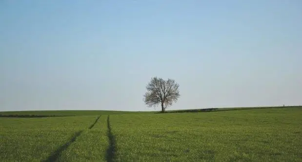 Ciclos