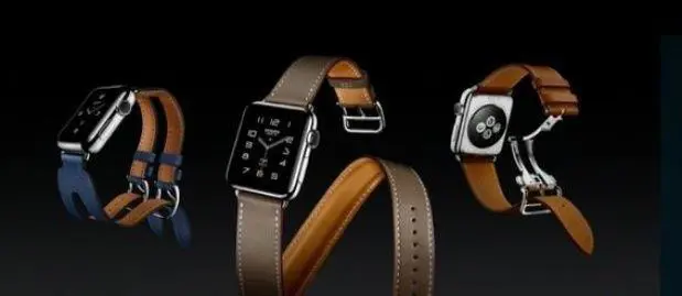 Apple Watch Hermes