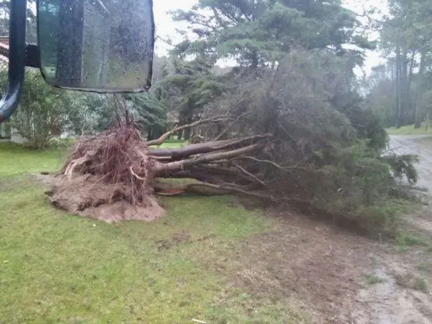 Las rfagas de viento tambin afectaron la localidad de Pinamar