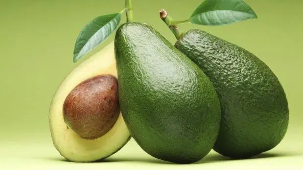 Palta