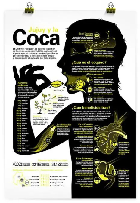 Los beneficios de la hoja de coca