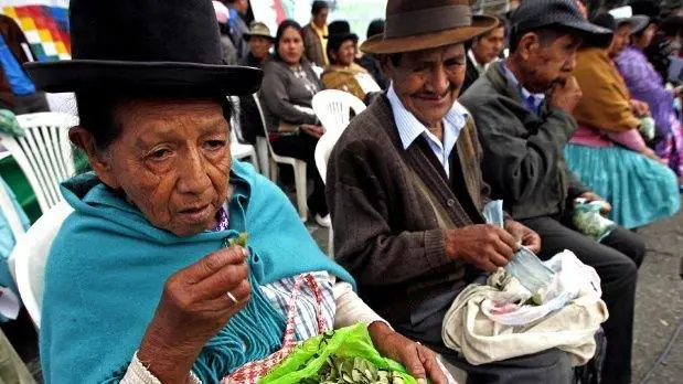 La ingesta de hojas de coca en Jujuy es una costumbre milenaria, prcticamente un ritual identitario de la regin