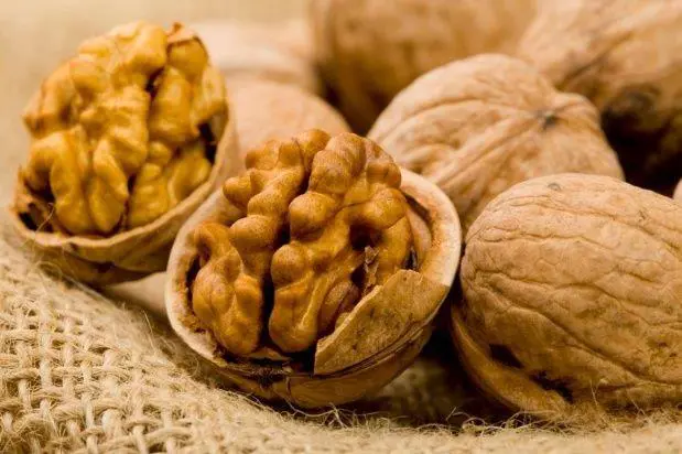 Nueces