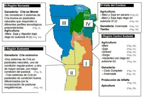 La economa puntana, sector por sector