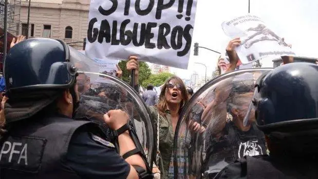 Manifestacin contra galgos