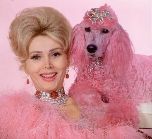 zsa Zsa Gabor